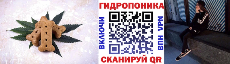 закладка  Суджа  mega как войти  Печенье с ТГК марихуана 