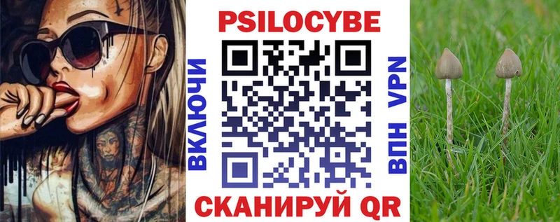 сколько стоит Суджа Галлюциногенные грибы мицелий